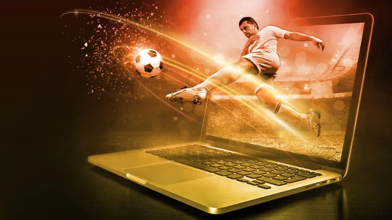 Dịch vụ cá cược trực tiếp tại sảnh Thể thao Bubet